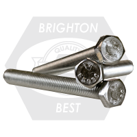 HEX STAINLESS STEEL 5/16 BOLT